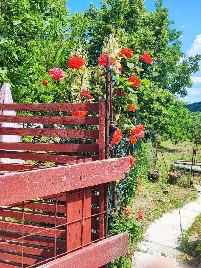 Apartment Dedo, Salara Farmhouse Koper Ngoại thất bức ảnh